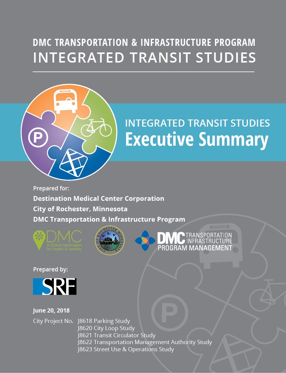 Integrated Transit Studies Executive Summary