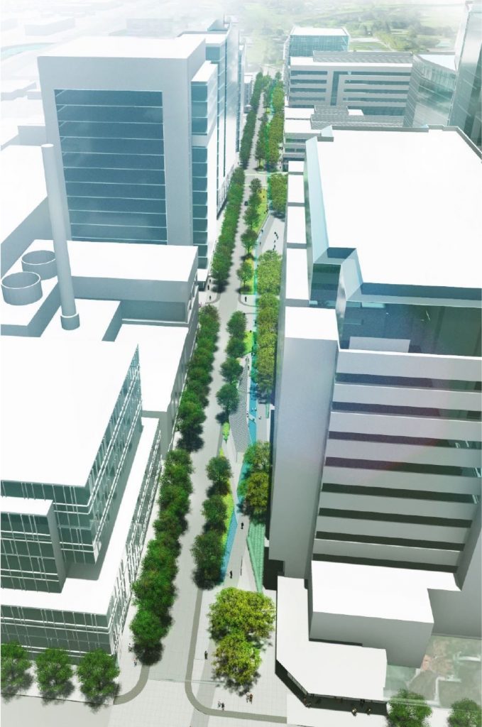 Areal rendering of Discovery walk showing the trees and walking path along the roads